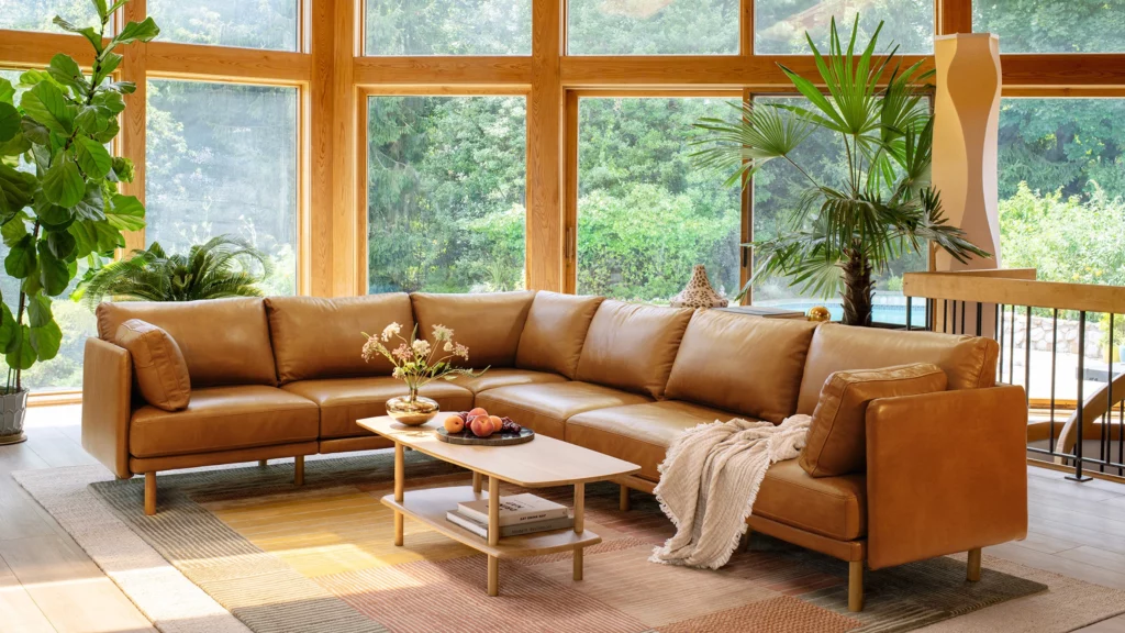 Best Leather Sofa for Dogs 